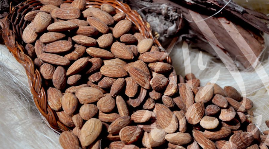 Wholesale high quality almonds - interesting information about almonds